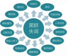 要想心脏好，先要胃肠棒，常备美宝黄芩芝麻油软胶囊的必要性在哪里？