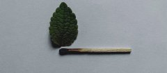 昆山紫荆医院收费贵吗？昆山紫荆男科医院专家： 总想尿却总只是尿出来几滴，怎么回事？